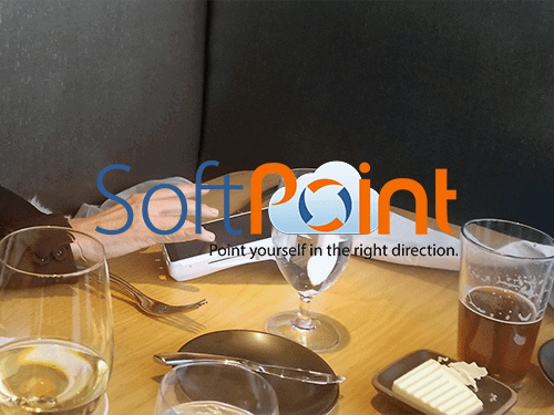 SoftPoint Video